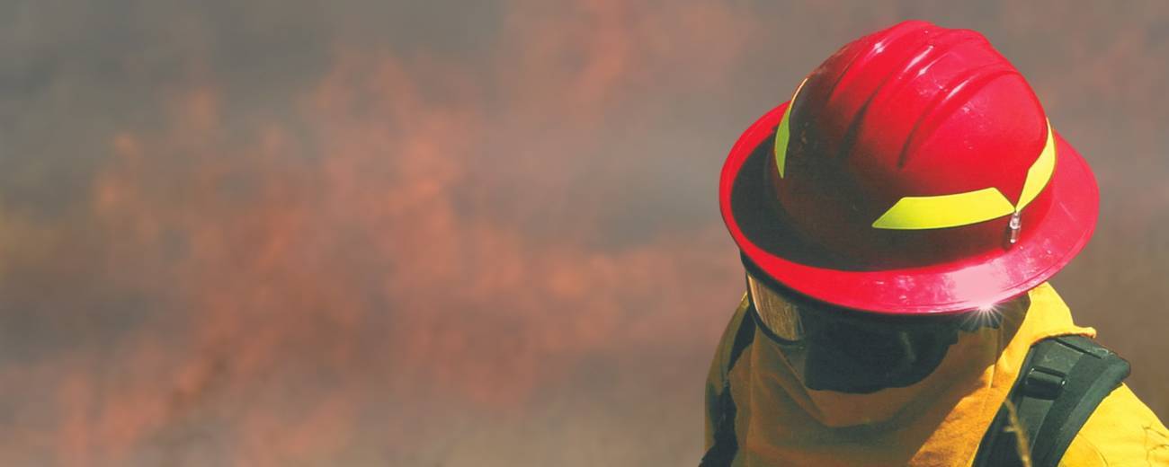 Wildland hero